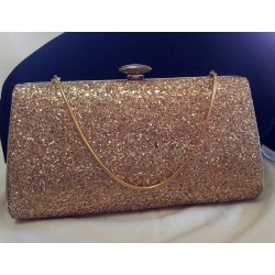 Golden Hard-side Evening Clutch Purse