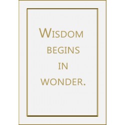Gentle Motivational Quotes